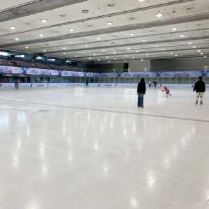 Almohadilla de hockey sobre hielo